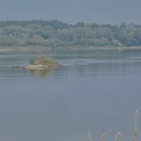 3d29b082-18a7-46f3-b0f9-1df5ca346261