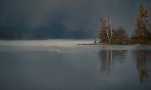 pexels-frank-cone-140140-14738698