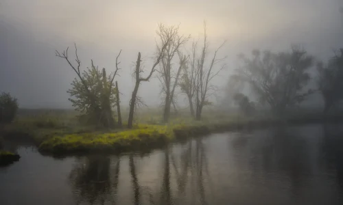 pexels-tomfisk-28856791